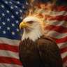 Patriot Aura Eagle
